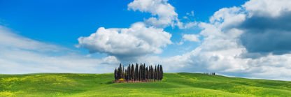 FRANK KRAHMER - Cypresses, Val d'Orcia, Tuscany