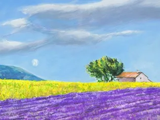 MASSIMO GERMANI - Campi di Lavanda