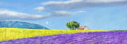 MASSIMO GERMANI - Campi di Lavanda