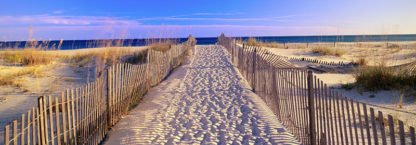 JOSEPH SOHM - Pathway to the Beach, Florida