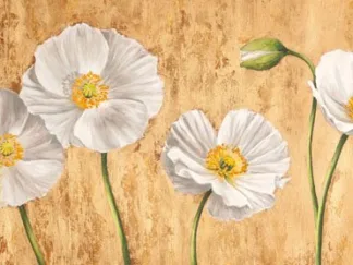 JENNY THOMLINSON - Poppies on Smooth Background