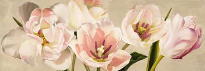 LUCA VILLA - White Flowers