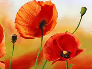 LUCA VILLA - Poppies in the Wind