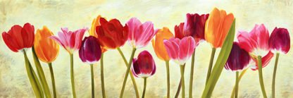 LUCA VILLA - Tulip Parade