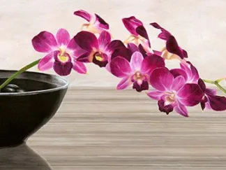 SHIN MILLS - Orchid Arrangement