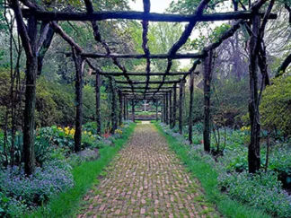 RICHARD BERENHOLTZ - Garden Path, Old Westbury Gardens, Long Island