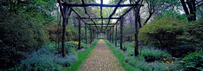 RICHARD BERENHOLTZ - Garden Path, Old Westbury Gardens, Long Island