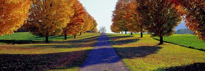 RICHARD BERENHOLTZ - Autumn Road New York