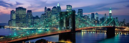 RICHARD BERENHOLTZ - Brooklin Bridge and Skyline