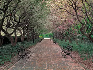 RICHARD BERENHOLTZ - Central Park