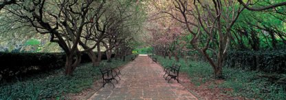 RICHARD BERENHOLTZ - Central Park