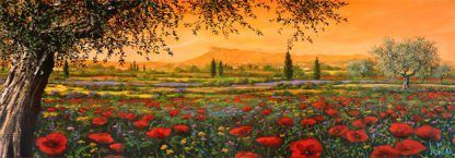 TEBO MARZARI - Pianura in Fiore