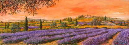 TEBO MARZARI - Filari di Lavanda